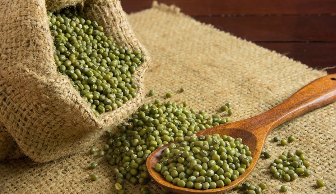 Manfaat Kacang Hijau, Bisa Obati Banyak Penyakit Serta Cara Membuatnya