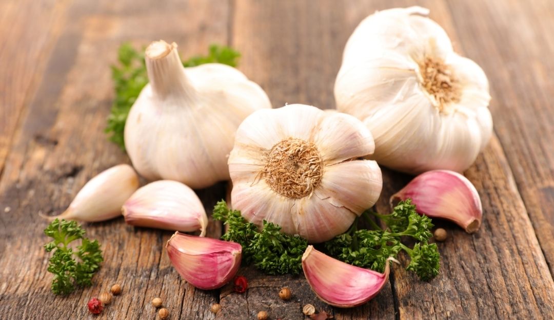 Manfaat Bawang Putih Bagi Kesehatan Tubuh dan Kulit
